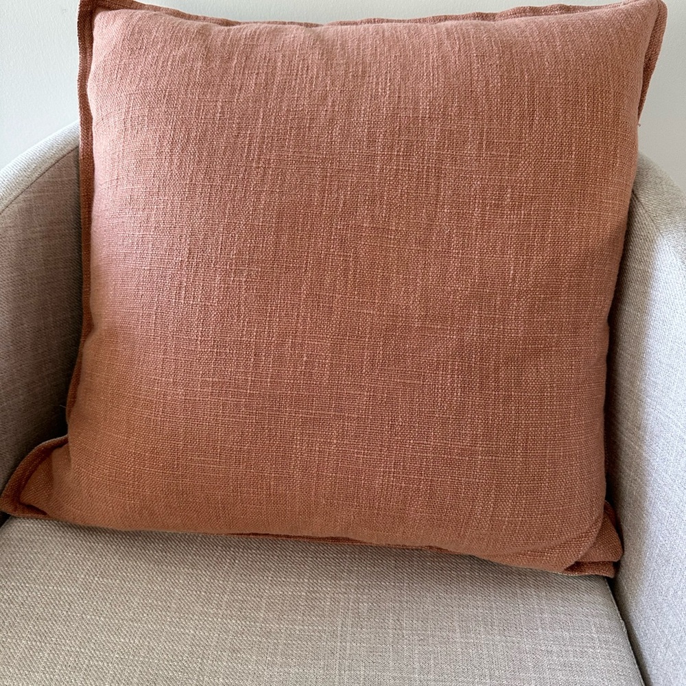 Crate & Barrel Pillow 20x20